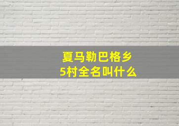 夏马勒巴格乡5村全名叫什么