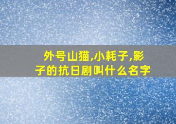 外号山猫,小耗子,影子的抗日剧叫什么名字