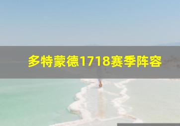 多特蒙德1718赛季阵容