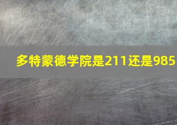 多特蒙德学院是211还是985