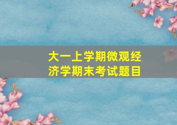 大一上学期微观经济学期末考试题目