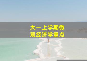 大一上学期微观经济学重点