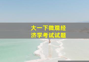 大一下微观经济学考试试题