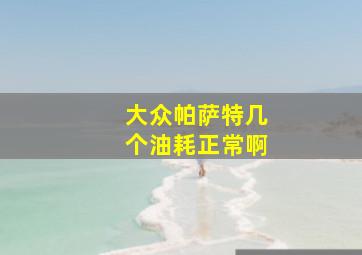 大众帕萨特几个油耗正常啊