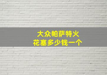 大众帕萨特火花塞多少钱一个