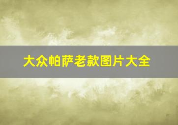 大众帕萨老款图片大全