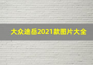 大众途岳2021款图片大全