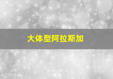 大体型阿拉斯加