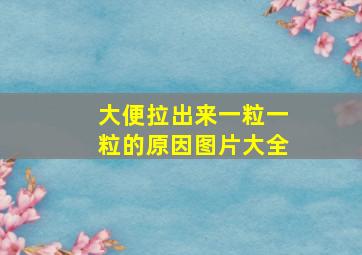 大便拉出来一粒一粒的原因图片大全