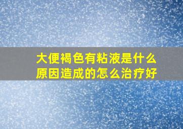 大便褐色有粘液是什么原因造成的怎么治疗好