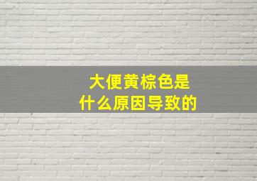 大便黄棕色是什么原因导致的