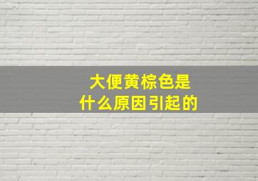 大便黄棕色是什么原因引起的