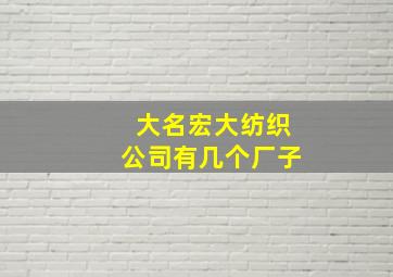 大名宏大纺织公司有几个厂子