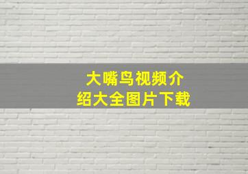 大嘴鸟视频介绍大全图片下载