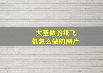 大圣做的纸飞机怎么做的图片