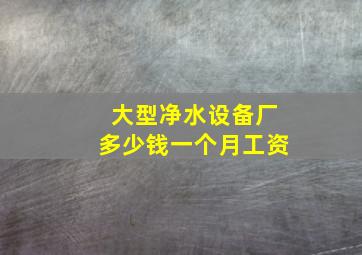 大型净水设备厂多少钱一个月工资