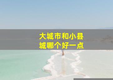 大城市和小县城哪个好一点