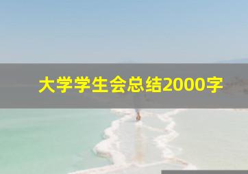 大学学生会总结2000字