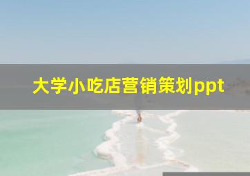 大学小吃店营销策划ppt