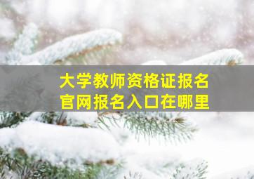 大学教师资格证报名官网报名入口在哪里