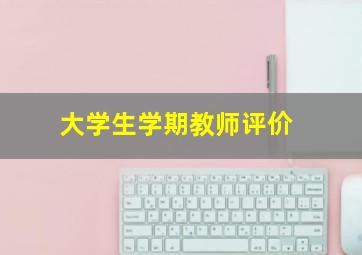 大学生学期教师评价