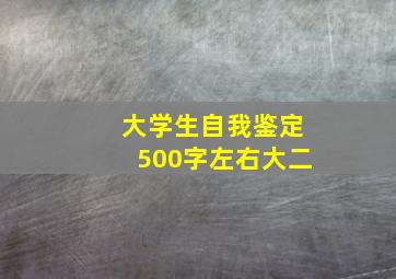 大学生自我鉴定500字左右大二