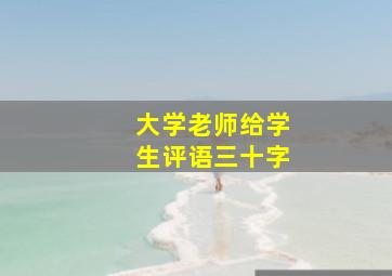 大学老师给学生评语三十字