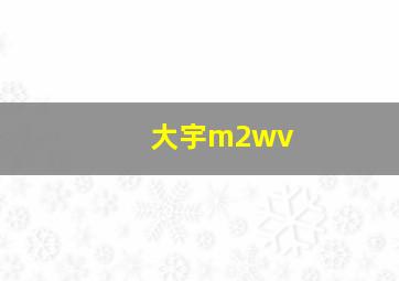 大宇m2wv