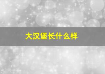 大汉堡长什么样