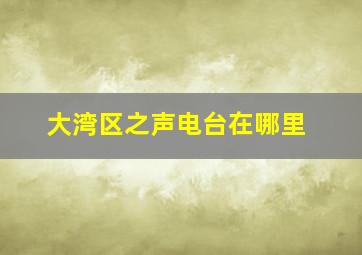 大湾区之声电台在哪里