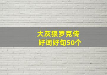 大灰狼罗克传好词好句50个