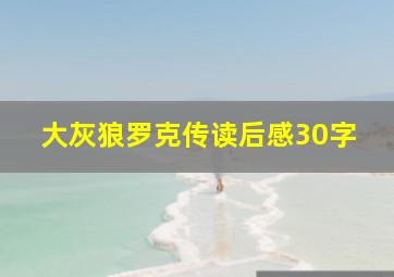 大灰狼罗克传读后感30字