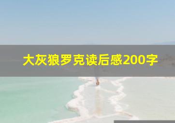 大灰狼罗克读后感200字