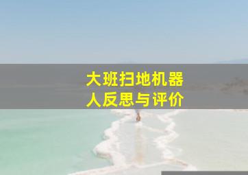 大班扫地机器人反思与评价