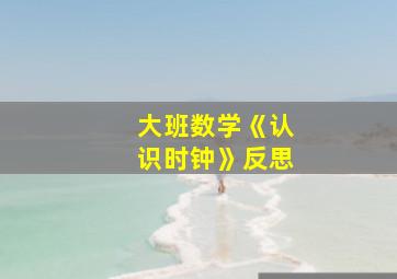 大班数学《认识时钟》反思