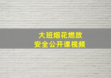 大班烟花燃放安全公开课视频