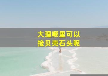 大理哪里可以捡贝壳石头呢