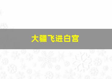 大疆飞进白宫