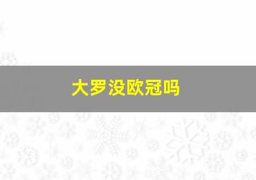 大罗没欧冠吗