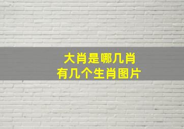 大肖是哪几肖有几个生肖图片