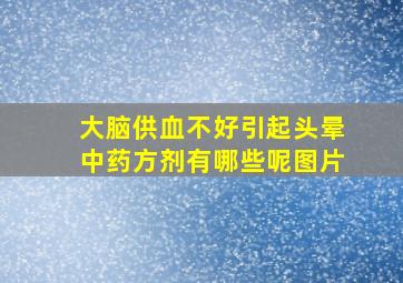 大脑供血不好引起头晕中药方剂有哪些呢图片