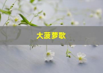 大菠萝歌