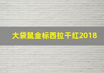 大袋鼠金标西拉干红2018