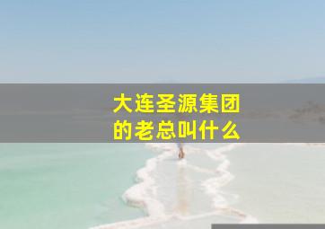 大连圣源集团的老总叫什么