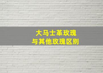 大马士革玫瑰与其他玫瑰区别