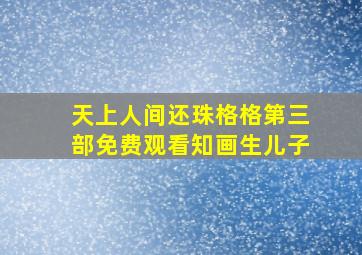 天上人间还珠格格第三部免费观看知画生儿子