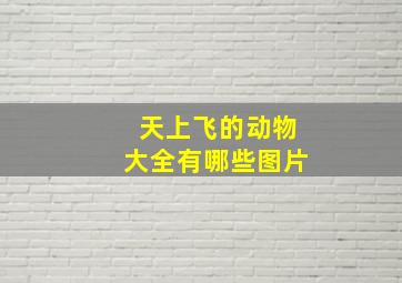 天上飞的动物大全有哪些图片