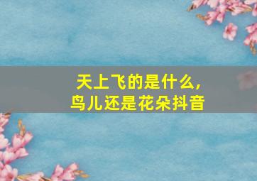 天上飞的是什么,鸟儿还是花朵抖音