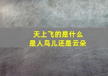 天上飞的是什么是人鸟儿还是云朵