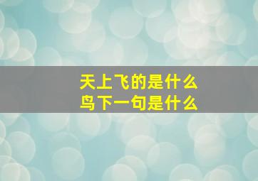 天上飞的是什么鸟下一句是什么